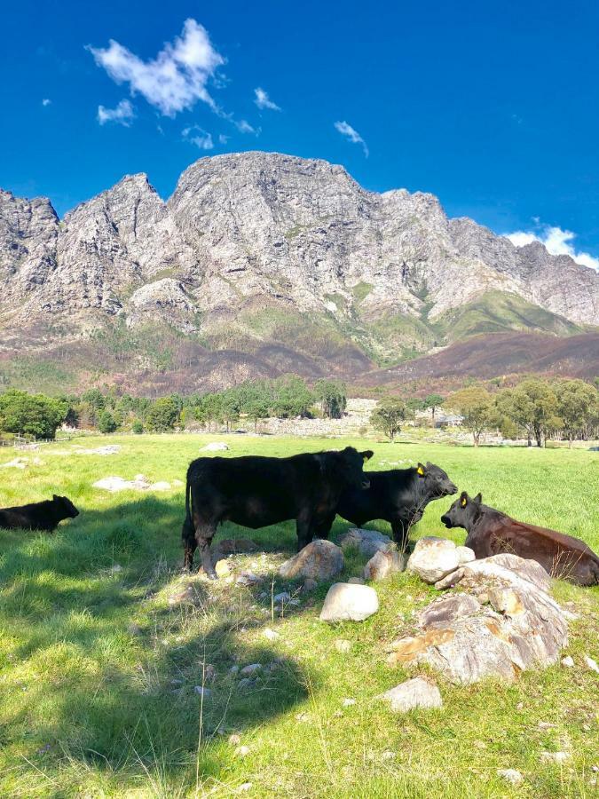 The Barn In Franschoek Franschhoek Exterior photo