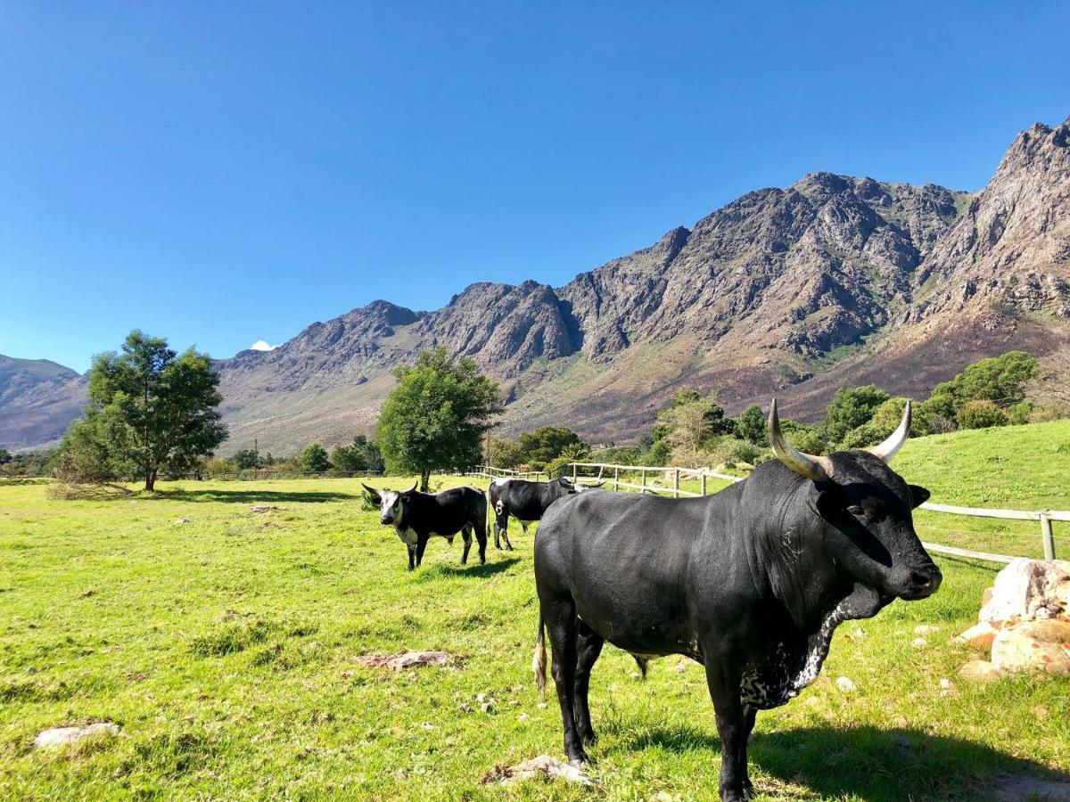 The Barn In Franschoek Franschhoek Exterior photo